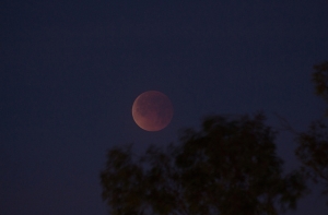 Астроном: мы увидим самое длинное лунное затмение 21 века