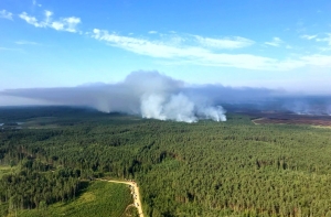 Дым от лесного пожара под Талси создал смог на севере Литвы