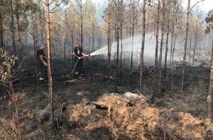 Более 60 часов не удается локализовать пожар под Талси