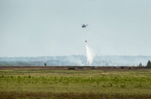 Подсчитан ущерб молодому лесу от пожара на Адажском полигоне