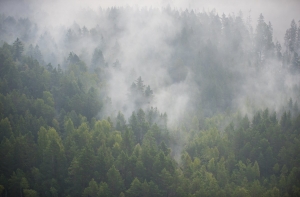 Из-за пожара под Талси созвано заседание Кризисного совета