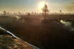 В районе Талси уже 14 часов горит торф и лес