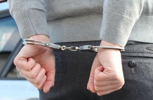 На границе поймали жителя Латвии, провозившего вьетнамцев