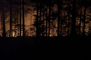 Пожар под Талси: некоторые места снова горят открытым пламенем