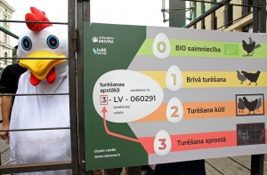 ПВС: тип содержания кур-несушек не влияет на качество снесенных яиц