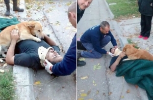 Щенячий восторг: 18 фото любвеобильных собакенов, которые растопят твое сердце