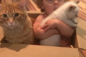 Увы, неприятности случаются!