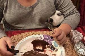 Фотографии вместо тысячи слов!