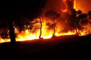 СМИ назвали потенциального покупателя Tesla