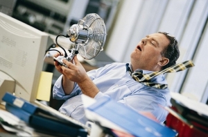 А поговорить? Трудовая инспекция призывает не бежать к ним с жалобами на жару