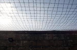 Россиянин привез из Перу шаманский напиток и получил 11 лет тюрьмы