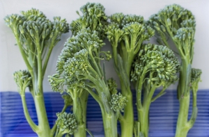 ЗОЖ с детства: школьников хотят перевести на правильное питание