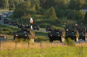 Адамсонс об учениях Namejs: с каких пор у нас беспорядками занимается армия?