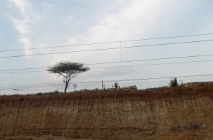 Дания возведет забор на границе с Германией