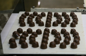 Производители продуктов: нам не хватает малоквалифицированных работников