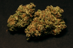 Чакша: наше общество не готово к легализации марихуаны