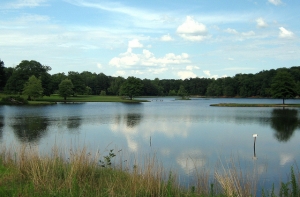 На Румбуле чуть не утонула пятилетняя девочка