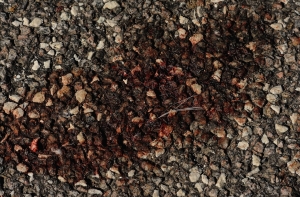 В Риге с 16-го этажа выпал человек