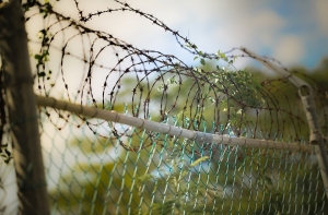 Более половины заключенных в латвийских тюрьмах не говорят на госязыке