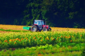 Урбанист: переезд министров в провинцию  - это Тришкин кафтан