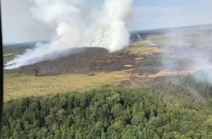 В Латвии около эстонской границы горит болото