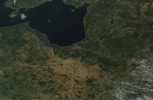 Дым от пожара у Эстонии виден со спутника НАТО, людей призывают закрывать окна