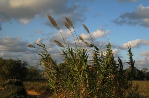 Погрелись - и хватит! В Латвии станет еще холоднее