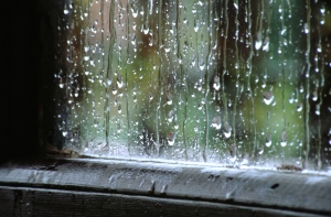 В Латвии ожидается непостоянная и дождливая погода