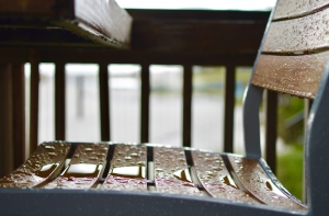 Синоптики: понедельник будет дождливым и ветренным