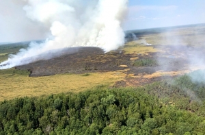 Латвия в огне: спасатели тушат сразу три крупных лесных пожара