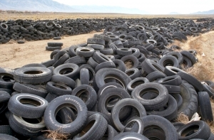 Эксперт: По Латвии разбросаны 47 000 старых шин, и никто не знает где они!