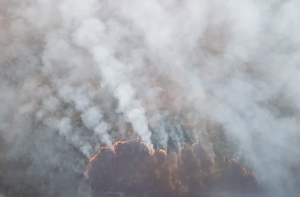 Эстонцы помогут в тушении пожара на болоте в Рамате