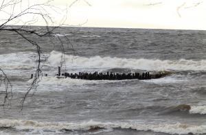 У берегов Курземе ожидается шторм с пятиметровыми волнами