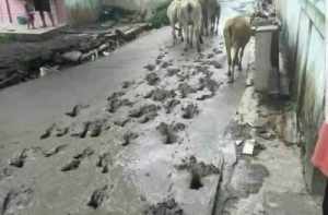 Сплошные казусы да упсы (27 фото)