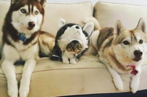 Порция хорошего настроения (28 фото)