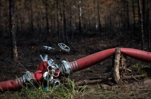Обширный лесной пожар в Цесисе: жителей призвали закрыть окна и двери
