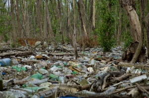 Пользователи бьют тревогу: леса Латвии пора спасать от мусора