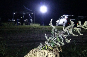 Bezvests.lv: поиски пропавшего под Сигулдой грибника не увенчались успехом