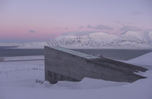 Латвийские семена отправят в Арктику на хранение