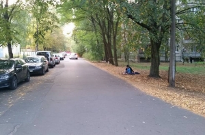 Мотоциклист сбил собаку и уехал, хозяева ищут свидетелей