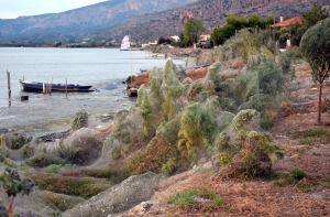 Побережье Греции окутала гигантская паутина