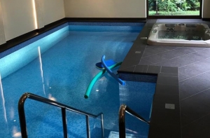 Житель Юрмалы предлагает свой бассейн для детей с особыми потребностями