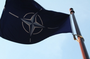 Центр киберзащиты НАТО: страны Балтии маленькие, им нужны союзники