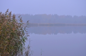 Последний день сентября будет ветреным и пасмурным