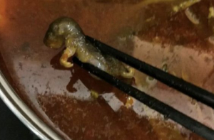 Мертвая крыса в супе обошлась китайской сети ресторанов в 190 млн долларов