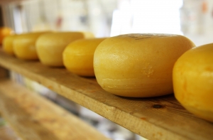 ПВС приказала изъять из продажи две тонны сыра