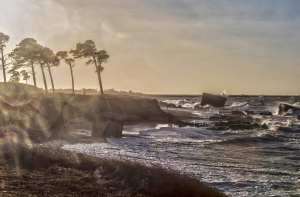 Стихия разбушевалась: пользователи соцсетей делятся последствиями бури