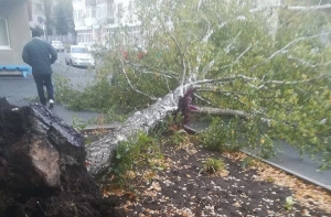 Непогода оставляет латвийцев без электричества: буря надвигается на Ригу