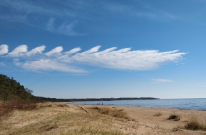 Синоптики рассказали о погоде в воскресенье