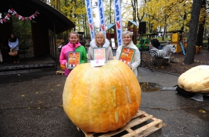 Maxima снова приглашает побороться за звание тыквы-гиганта